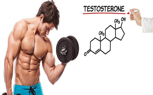 Testosterone - Hormone quan trọng nhất trong sinh lý nam giới